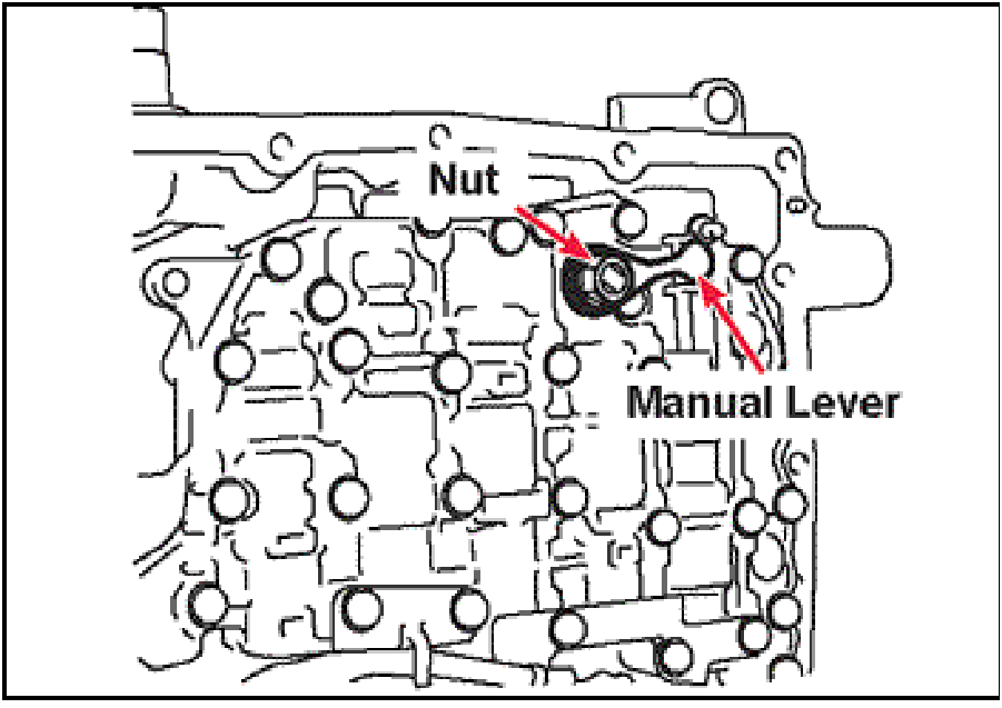 520065657_graphic-text222